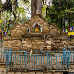 Coronation Of Norbugang